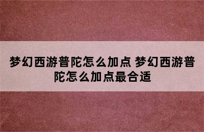 梦幻西游普陀怎么加点 梦幻西游普陀怎么加点最合适